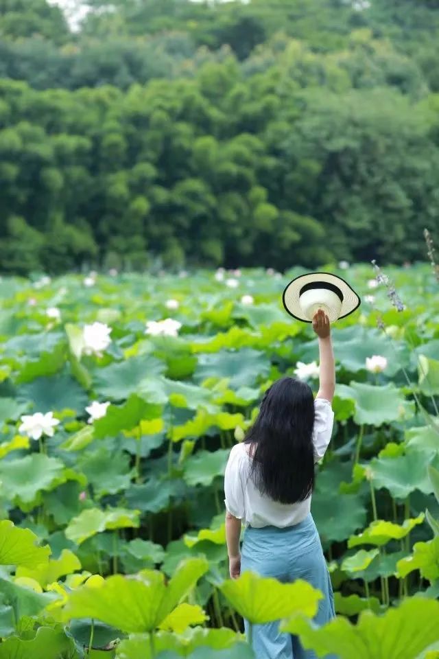 何谓年华_年华意思是什么_二八年华是什么意思