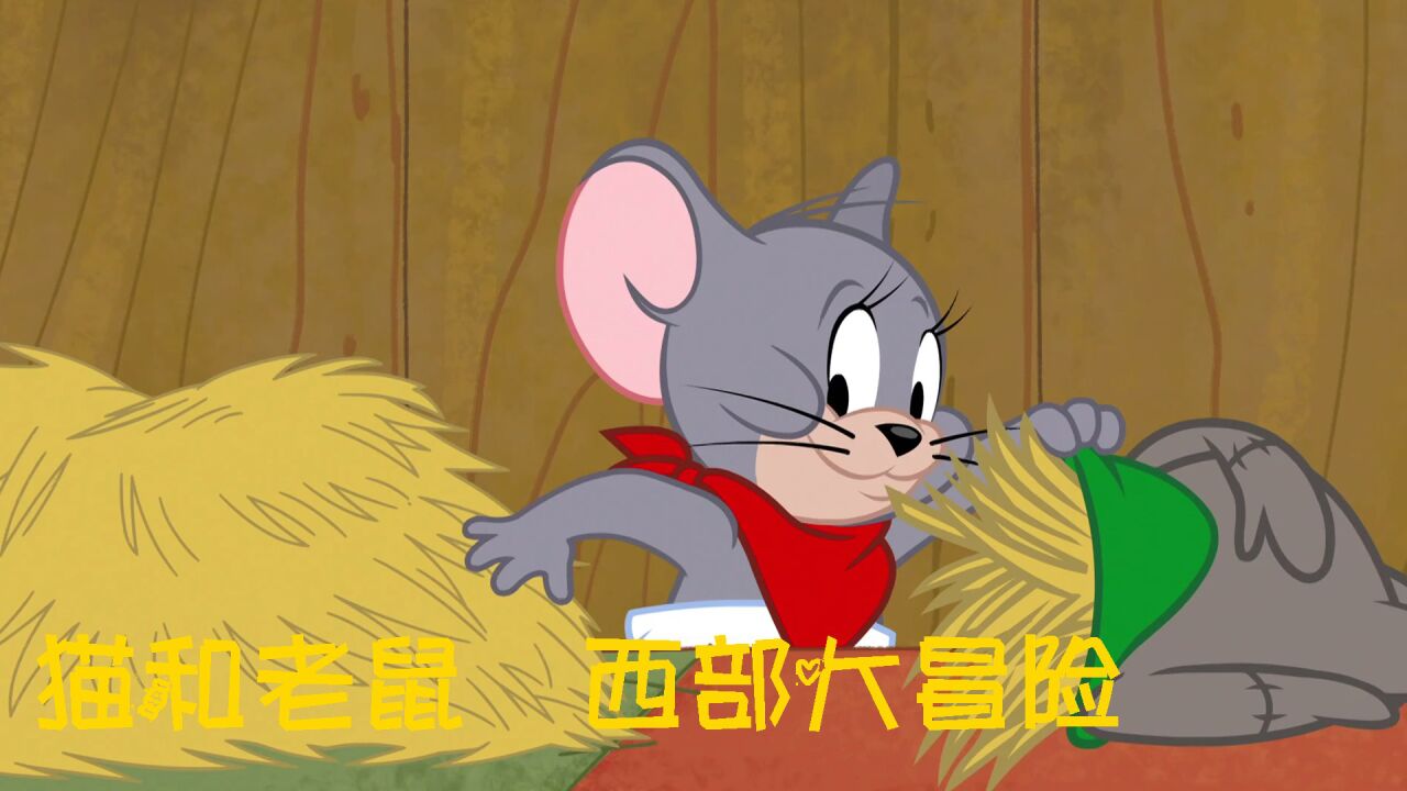 猫和老鼠过河无敌版：最奇怪伙伴的惊喜大冒险