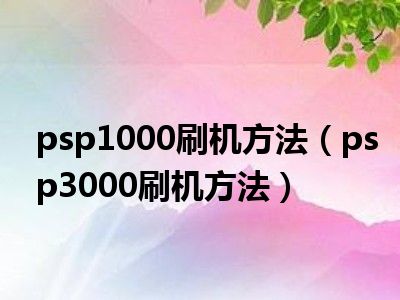 psp1000什么系统好_好系统小说_好系统成就大团队