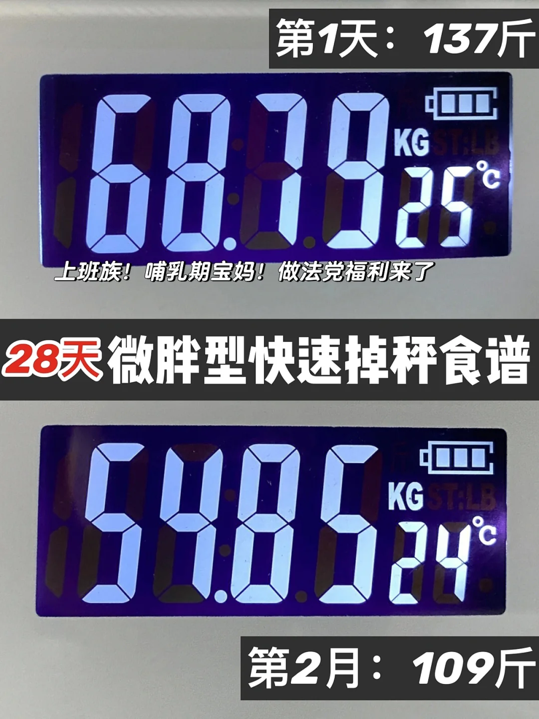 减肥食谱软件排行榜第一名_减肥食谱 软件_减肥食谱软件下载