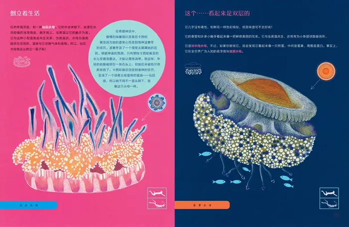 穿越百花公主_穿越百花羞公主_百花公主原型