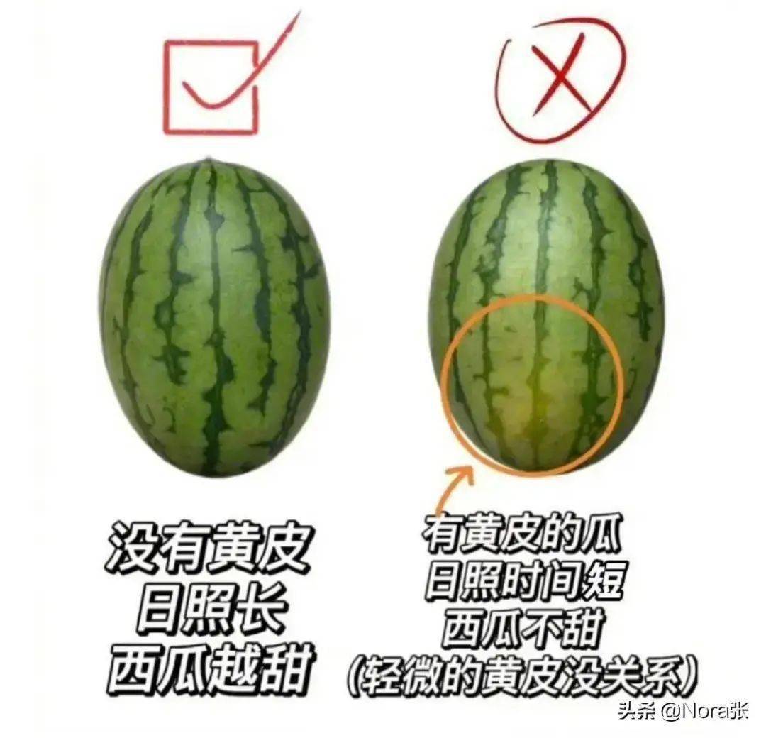 法宝任务书可以选2级法宝吗_法宝选书任务可以做几次_法宝任务书可以选什么法宝