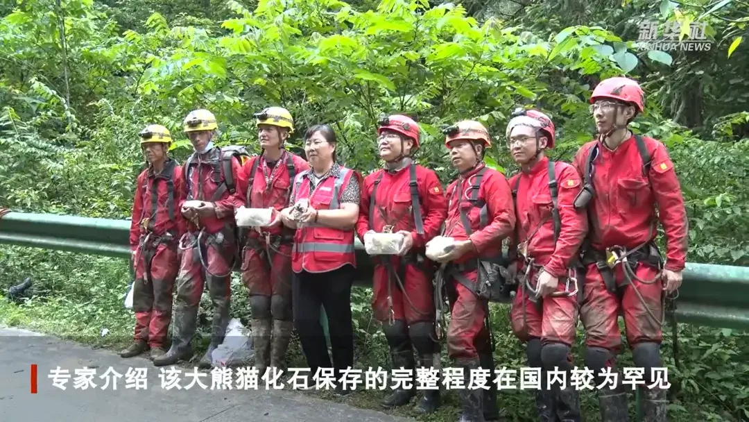 大空庄园攻略-走进传说中的大空庄园，揭开神秘面纱，探索隐藏的