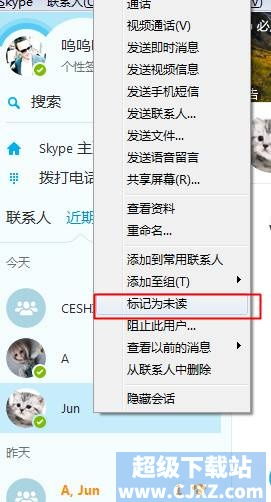 skype只能通话不能发消息,专注沟通，拒绝打扰