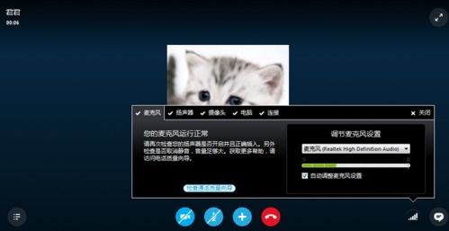 skype消息没声,Skype消息没声音？解决方法大揭秘