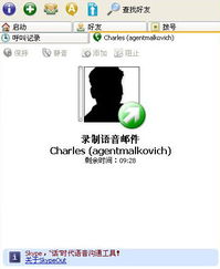 Skype语音邮件,便捷的沟通新方式