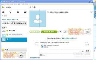 SKYPE文件传输慢,SKYPE文件传输慢的原因及解决方法