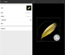 skype隐身和离线,轻松掌握隐私设置技巧