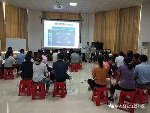 高管培训游戏,游戏化领导力提升新路径
