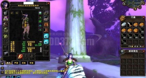 魔兽游戏id,探寻传奇ID背后的英雄故事