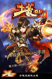 土豪ol游戏,深度解析土豪OL游戏特色与攻略