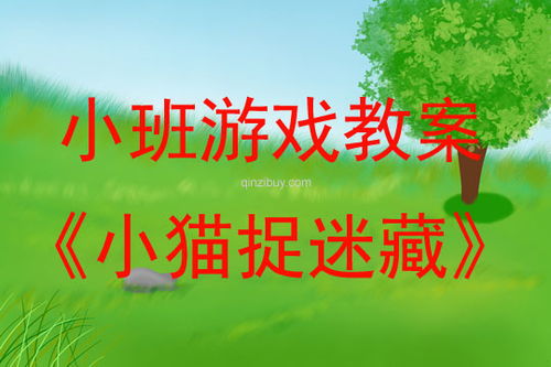 幼儿捉迷藏游戏教案,幼儿捉迷藏游戏教案解析与实施策略