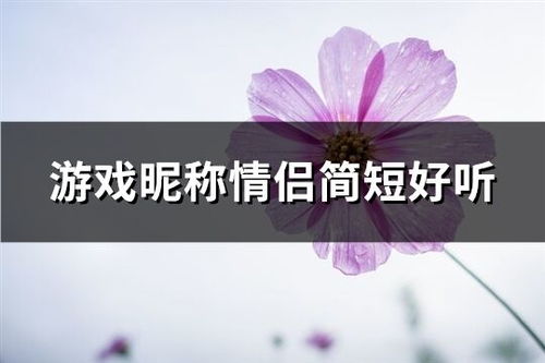 情侣游戏昵称简单气质,展现简单气质的爱情魅力