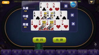 十三水小游戏,体验独特娱乐乐趣