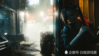 游戏孤狼结局,杰洛特的孤独旅程与宿命归宿