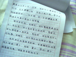贴鼻子游戏作文500字,童趣盎然的校园游戏时光”