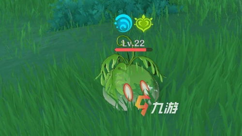 游戏莱草,探索神秘游戏世界的奇幻之旅