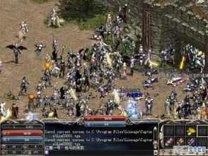 盛大游戏天堂,经典MMORPG的魅力与玩家互动平台